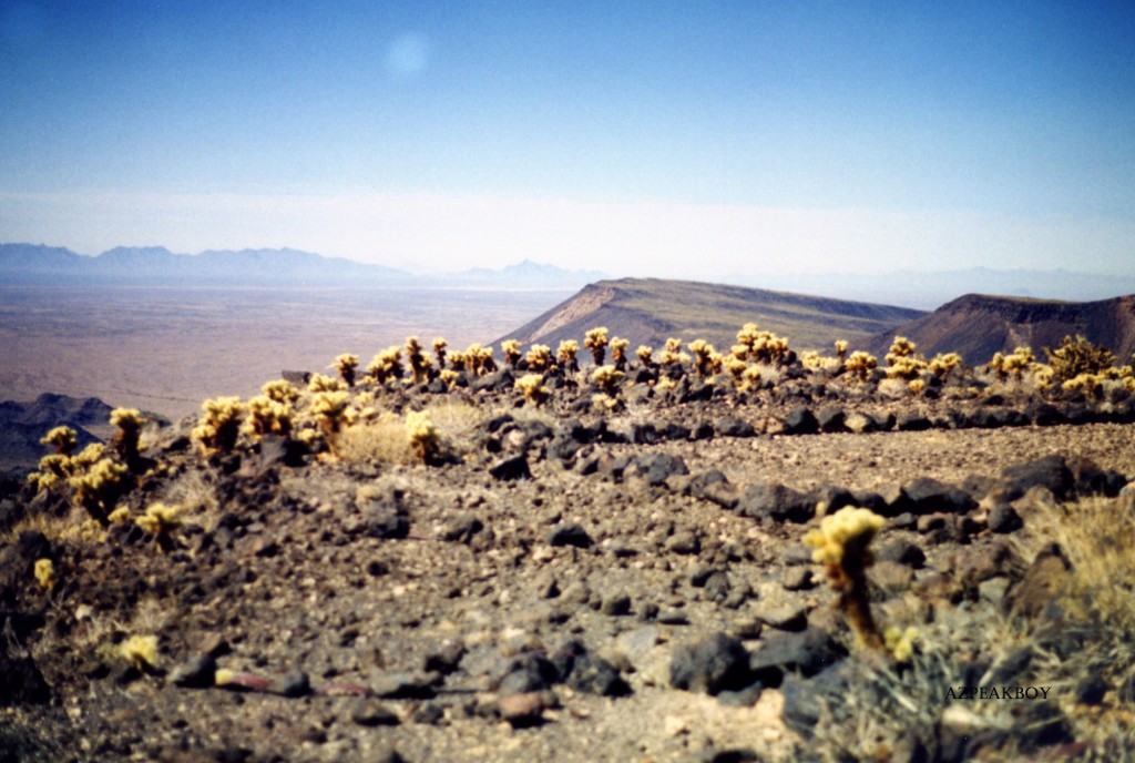 Looking northwest to Peak 1703 from the range high point