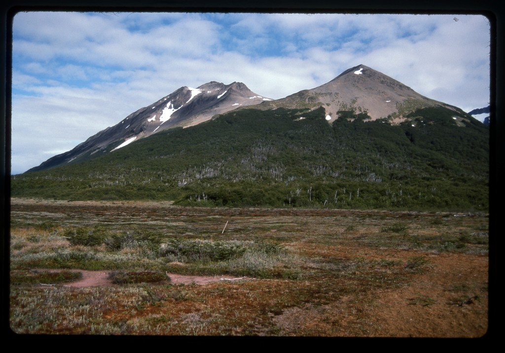 Here's the view we had of our peak from down low.