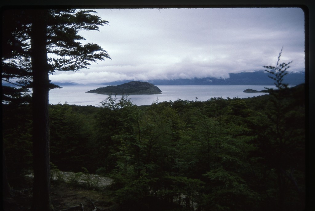 Looking at Beagle Channel while in Tierra del Fuego National Park