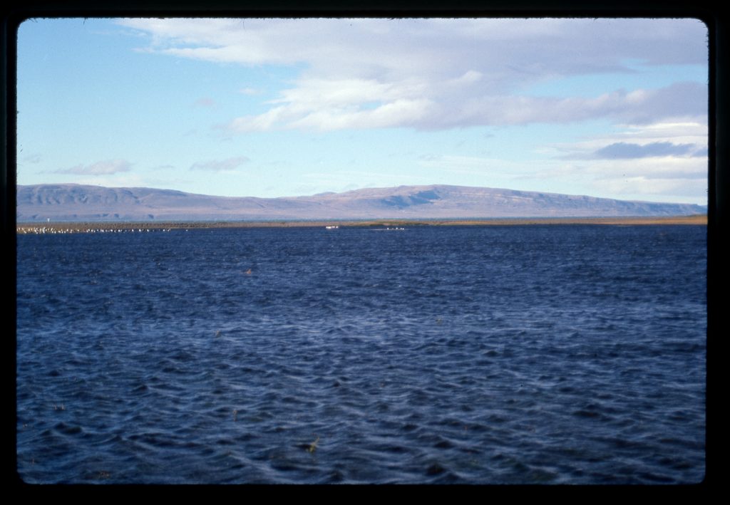 1-20-91 near Calafate, Arg., N across Lago de los Cisnes #2