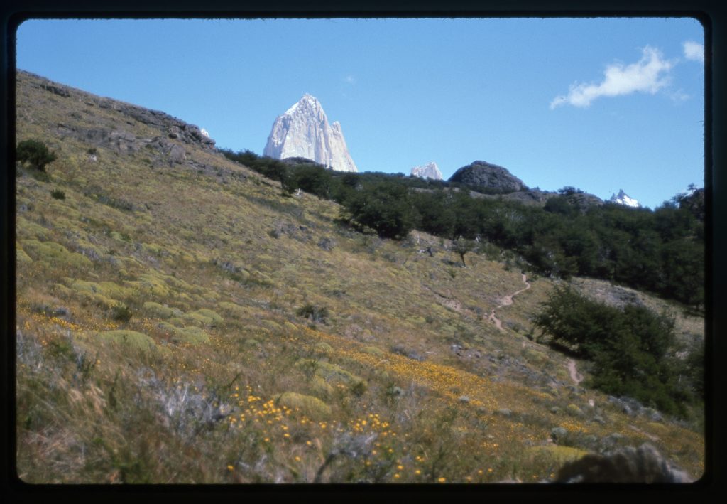 The top of Fitzroy, elevation 11,