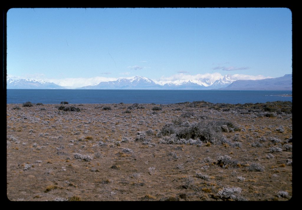 Looking up the length of the lake