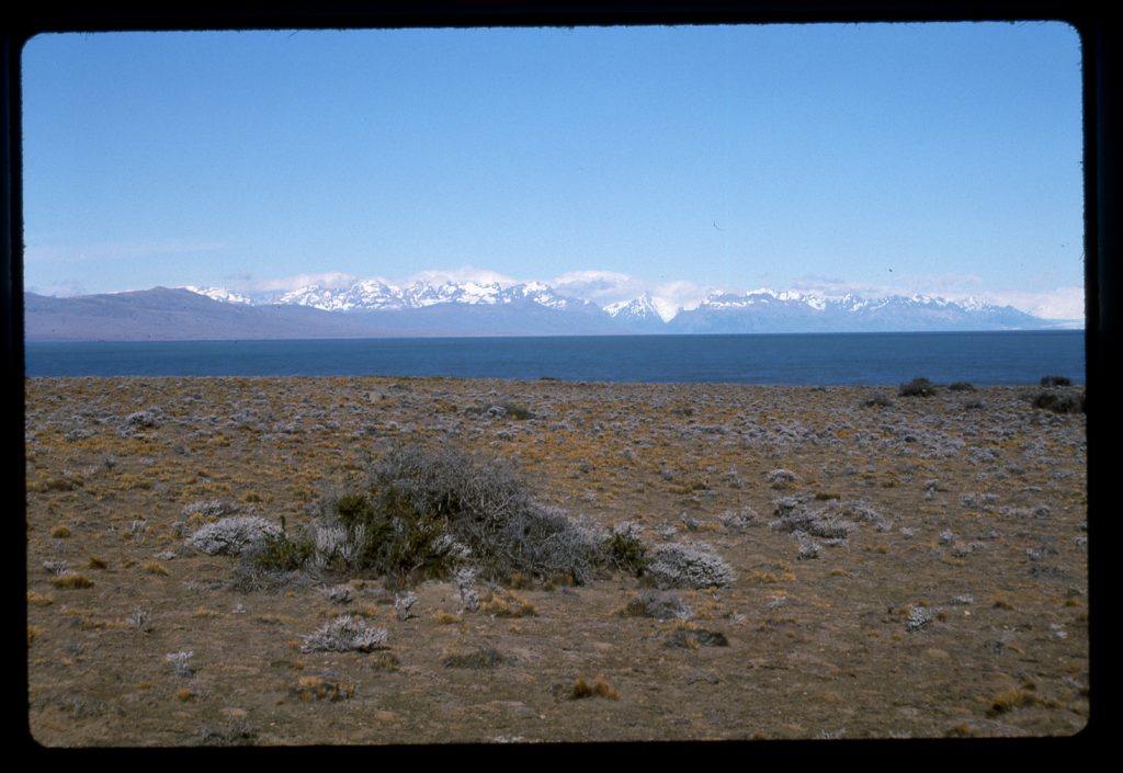 Looking across Lago Viedma to peaks southwest of it, on the Chile-Argentina border