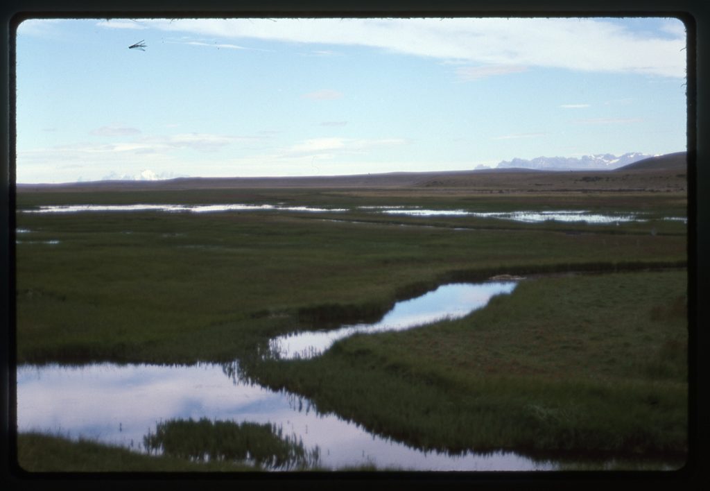 Looking west to Chile