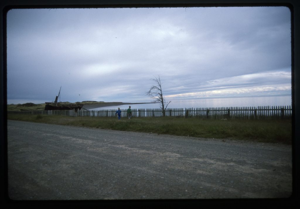 Near Estancia San Gregorio on the Strait of Magellan