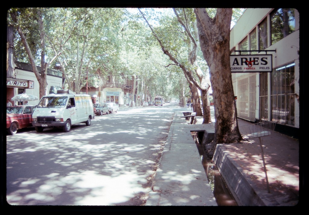 Typical street scene in Mendoza, often called the "City of Trees"