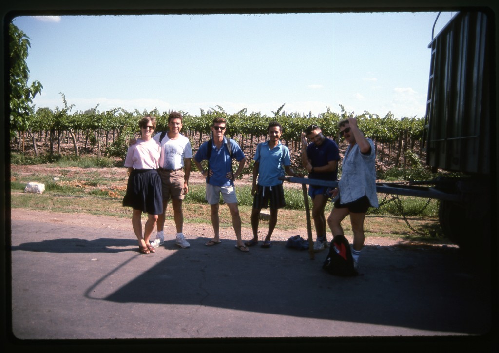 A group of foreign tourists at the Peñaflor Bodega. You can see the grapes in the background.