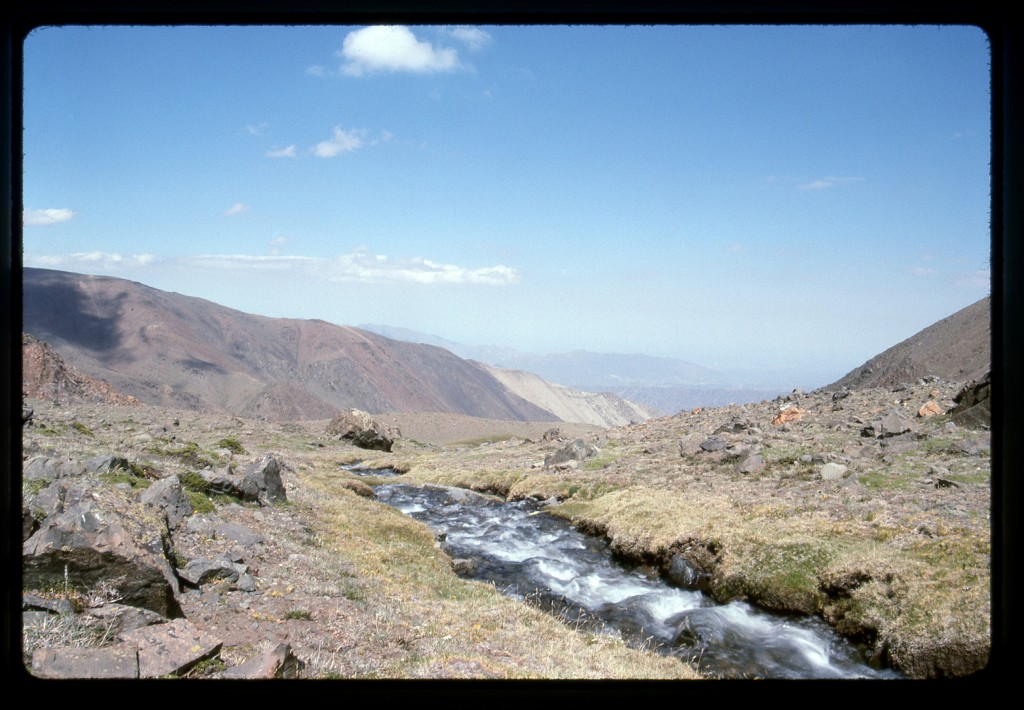 Creek above La Vega