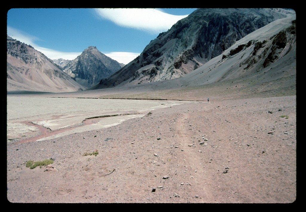 Looking north up the Río Horcones