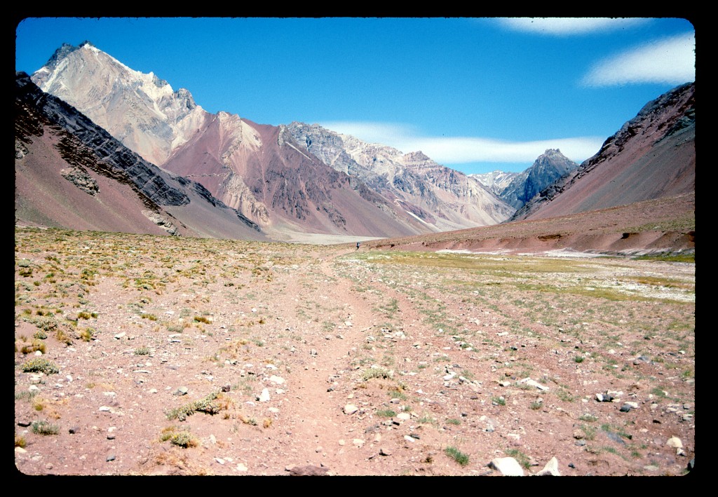 Another view up the Horcones valley