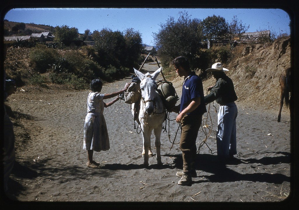 Loading the pack animals