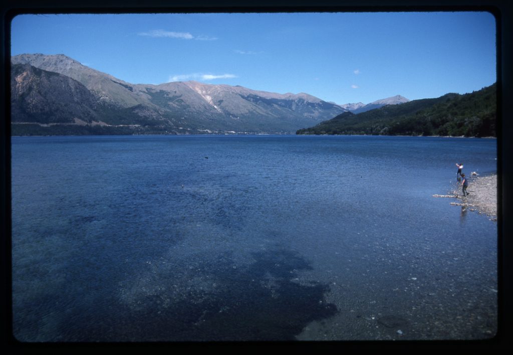 Looking south down Lago Gutierrez