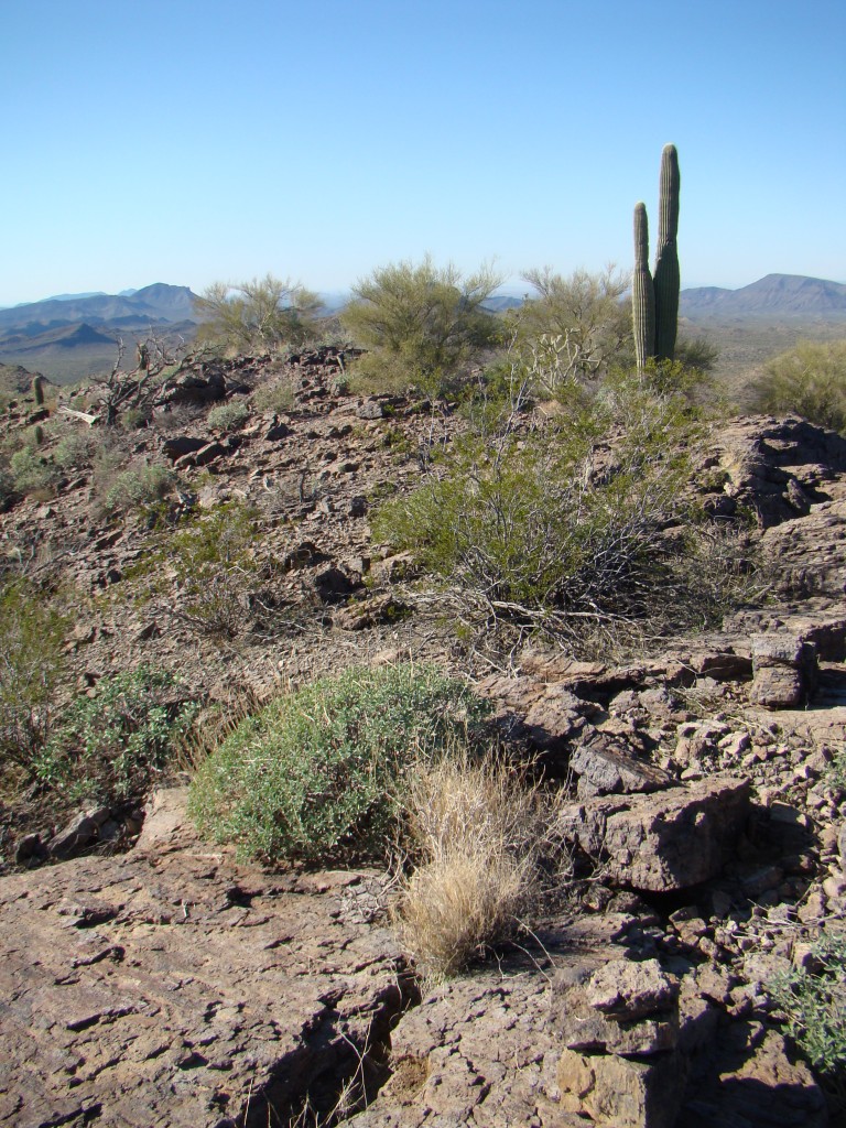 The summit of Peak 2949