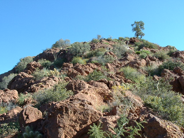 The final slope