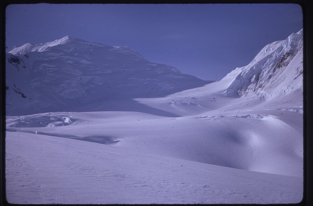 Toward Jeannette Col