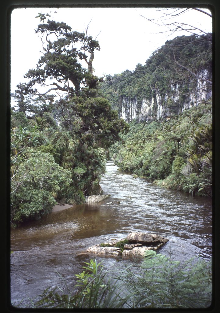 The Pororari River in Paparoa National Park