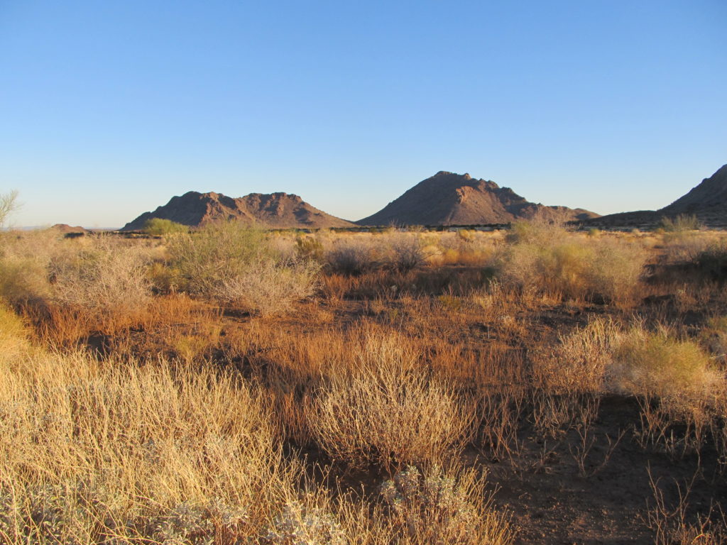 The first two peaks of the day.