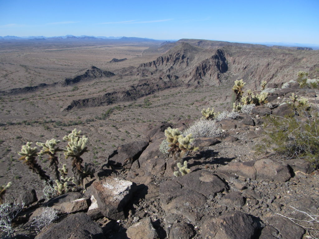 A view from the top