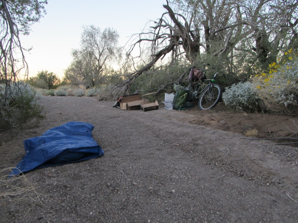 Looking downstream in the wash at our camp. Luke slept under the blue tarp.