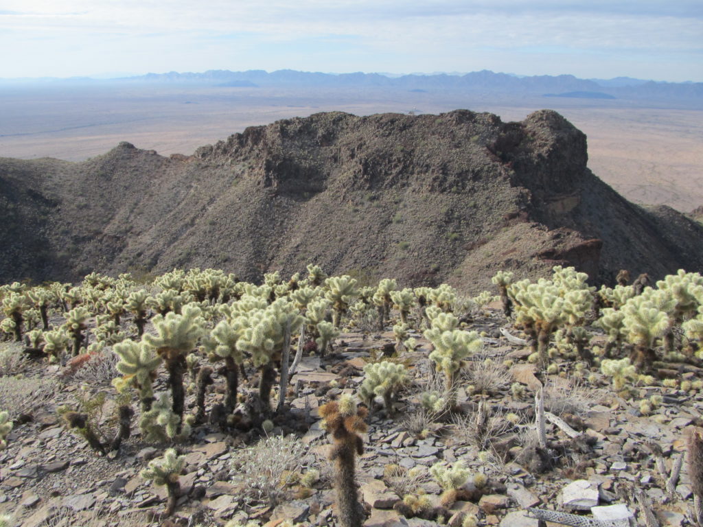 The lower summit