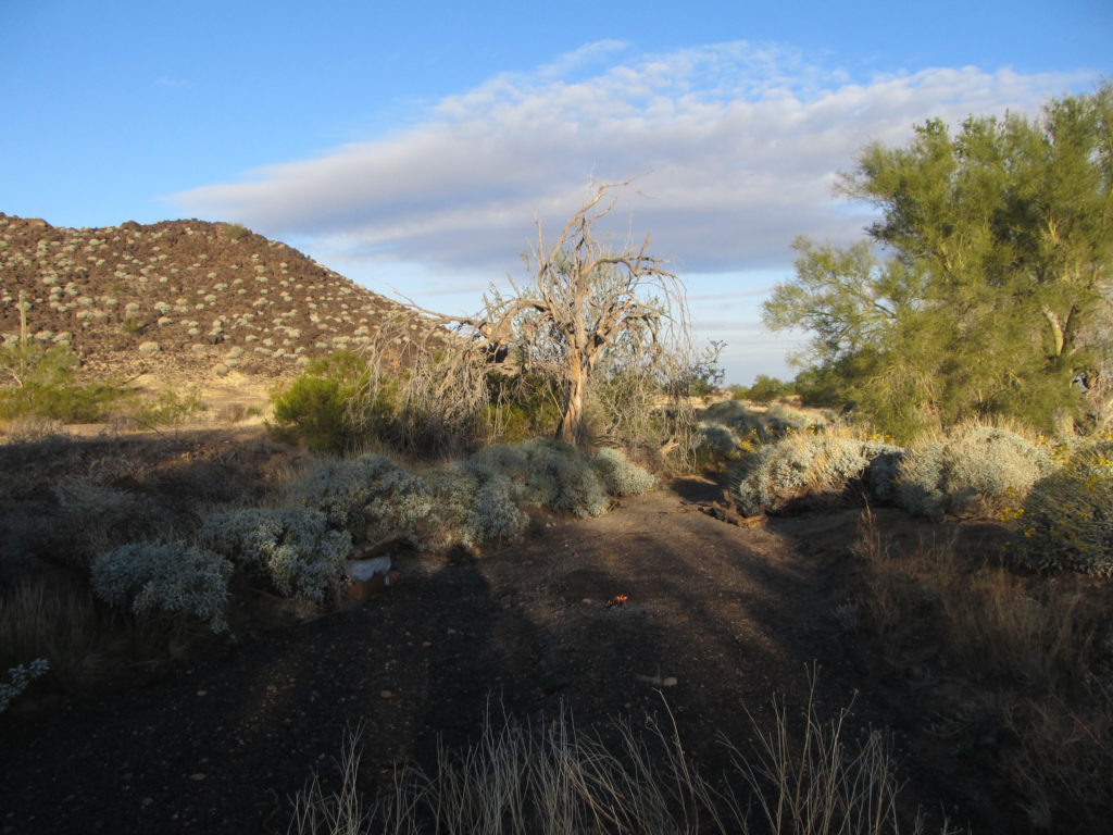 A last look at our camp