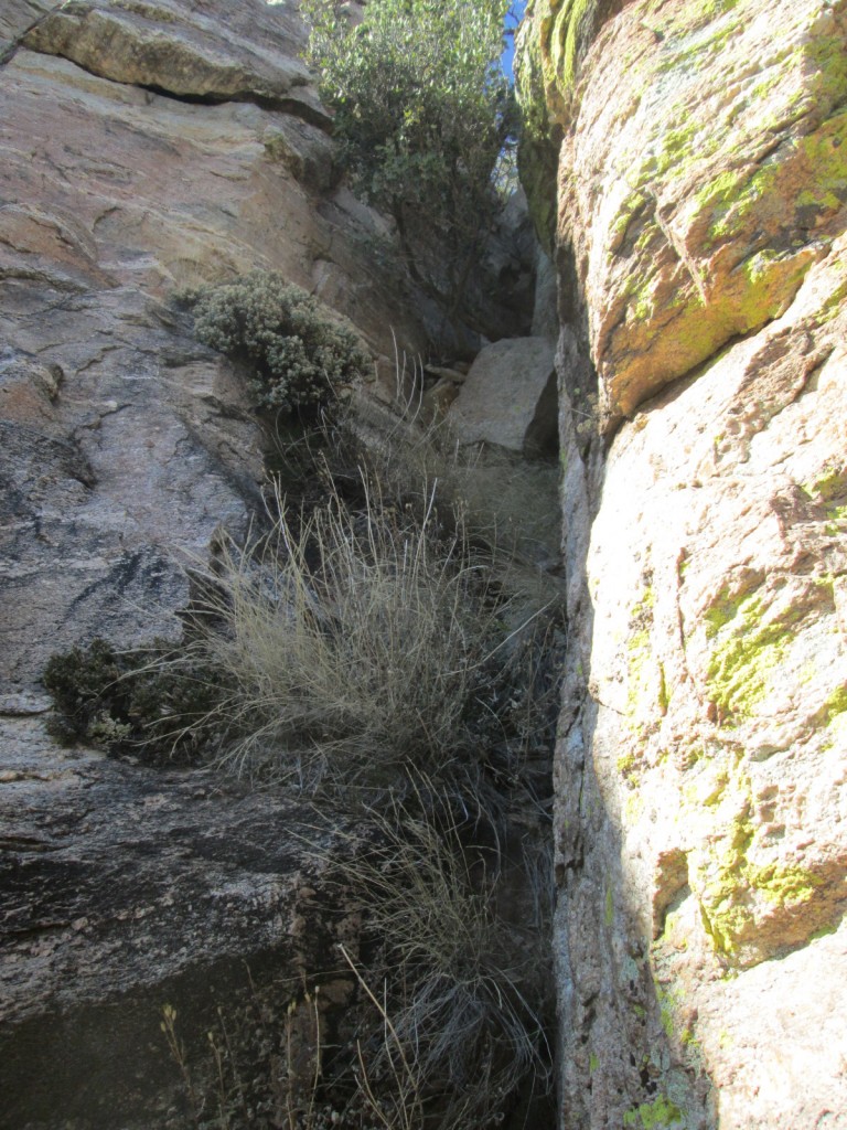 The chute that Teresa climbed