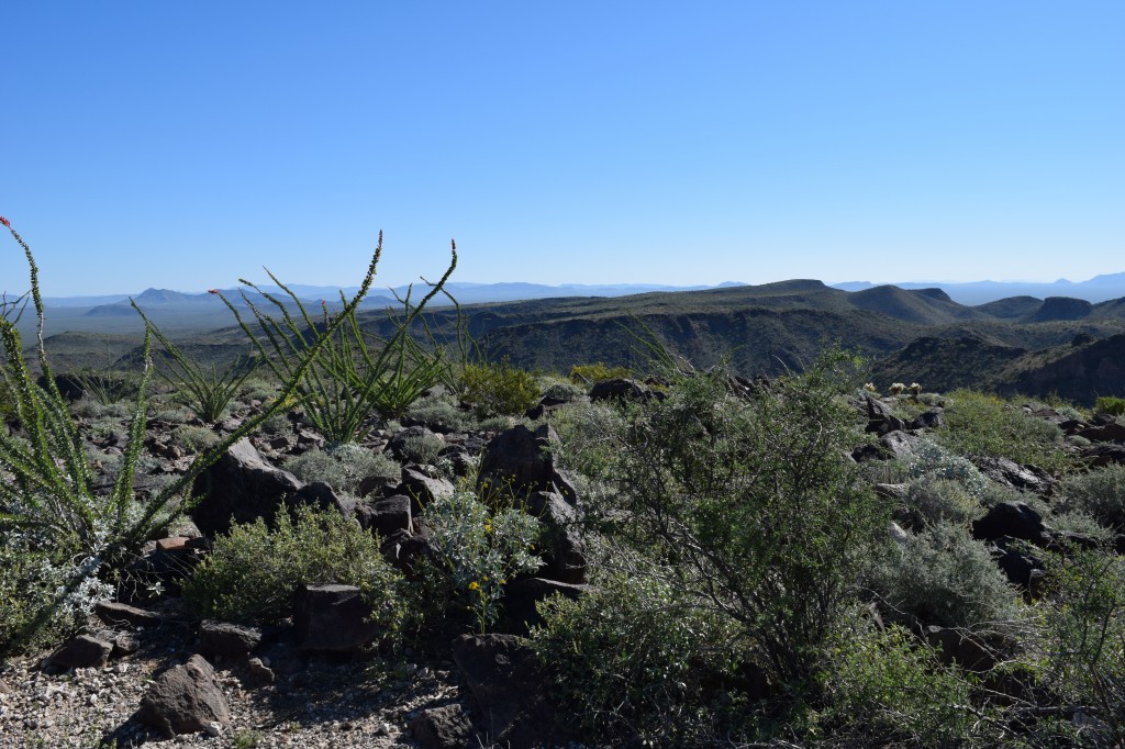 Looking east on the summit