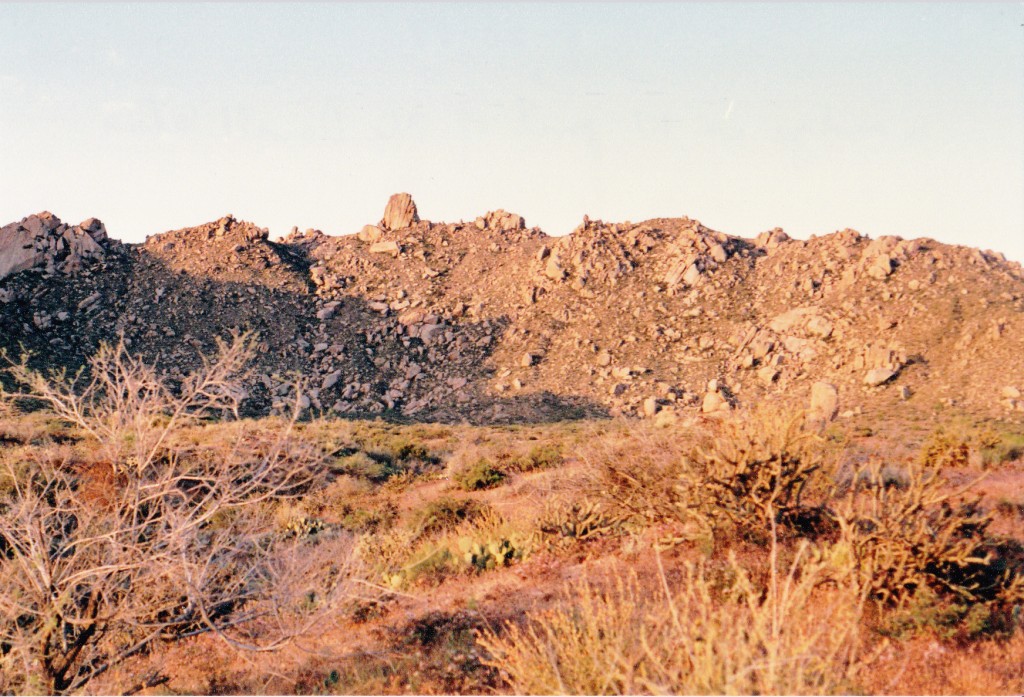 In the north part of the McDowell Mountains