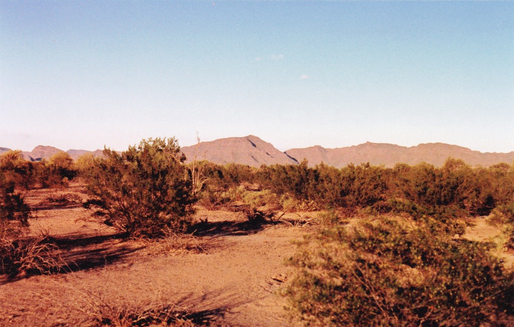 Looking from camp northeast to Peak 2961