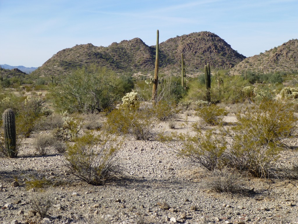 Looking west to Peak 2248
