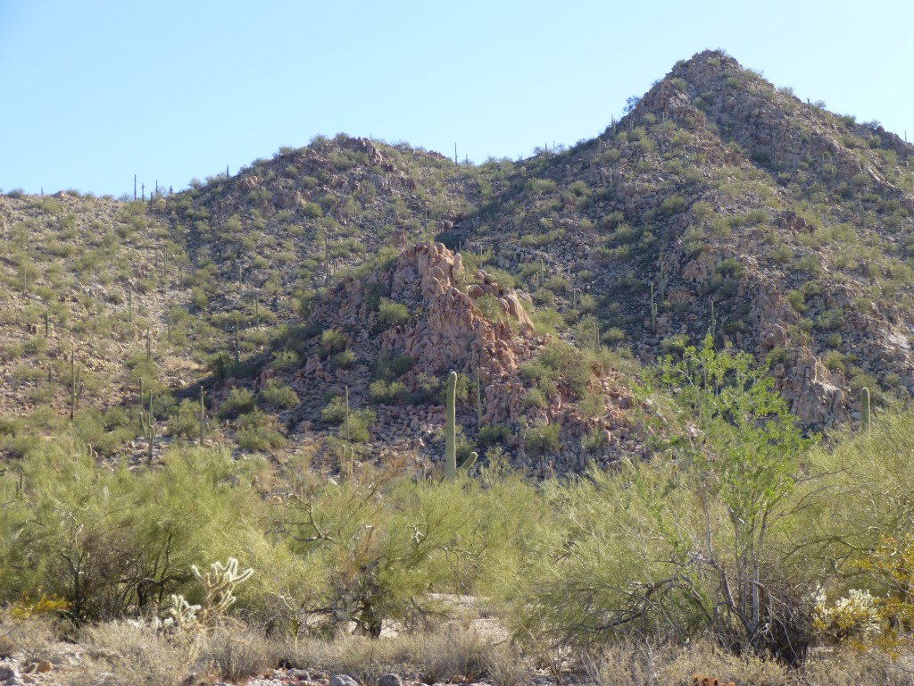 Looking east to Peak 2522