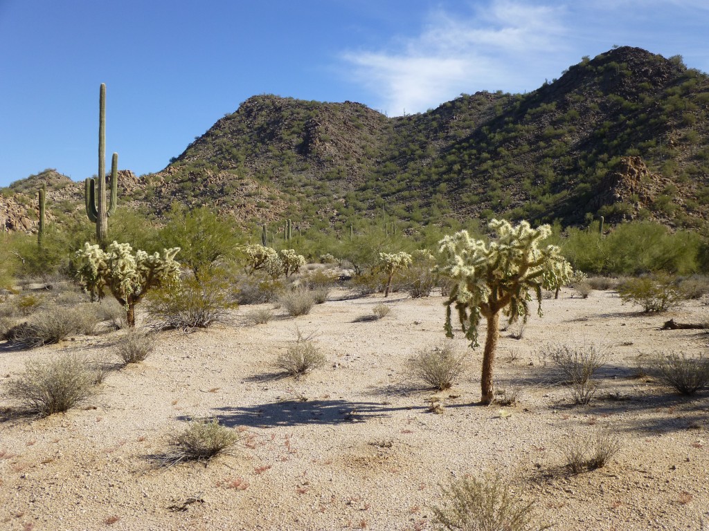 Looking east to Peak 2374