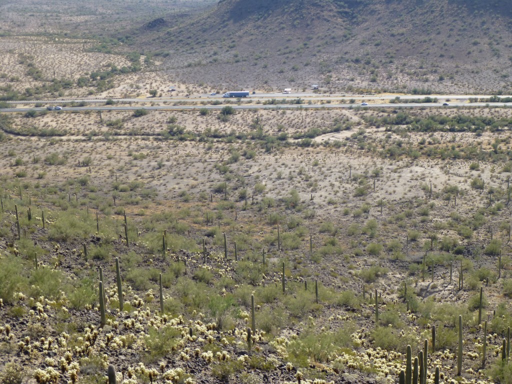 Looking down to the rest area on Interstate 8