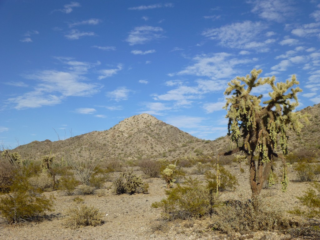 Looking northeast to Peak 1290 in the Antelope Hills