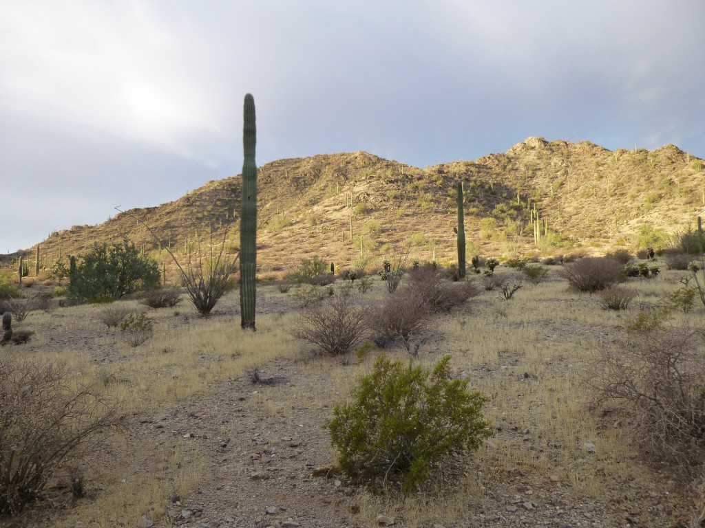 Looking southwest to Henry at sunrise