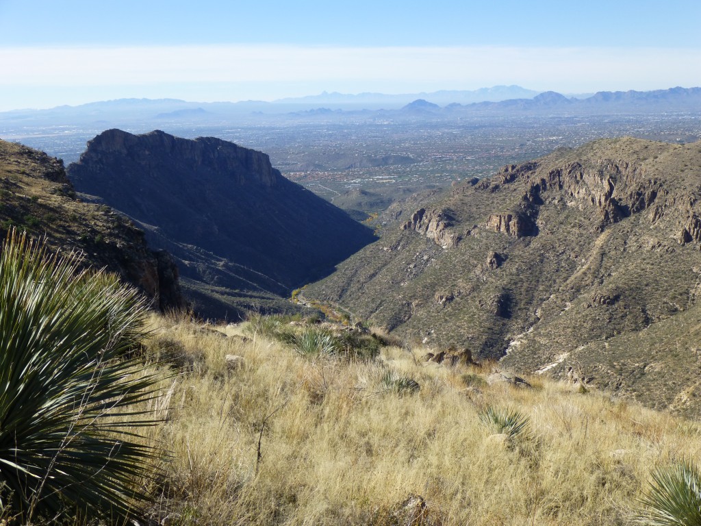 Looking down Sabino Canyon