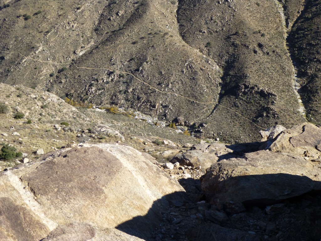 Looking down into Bear Canyon