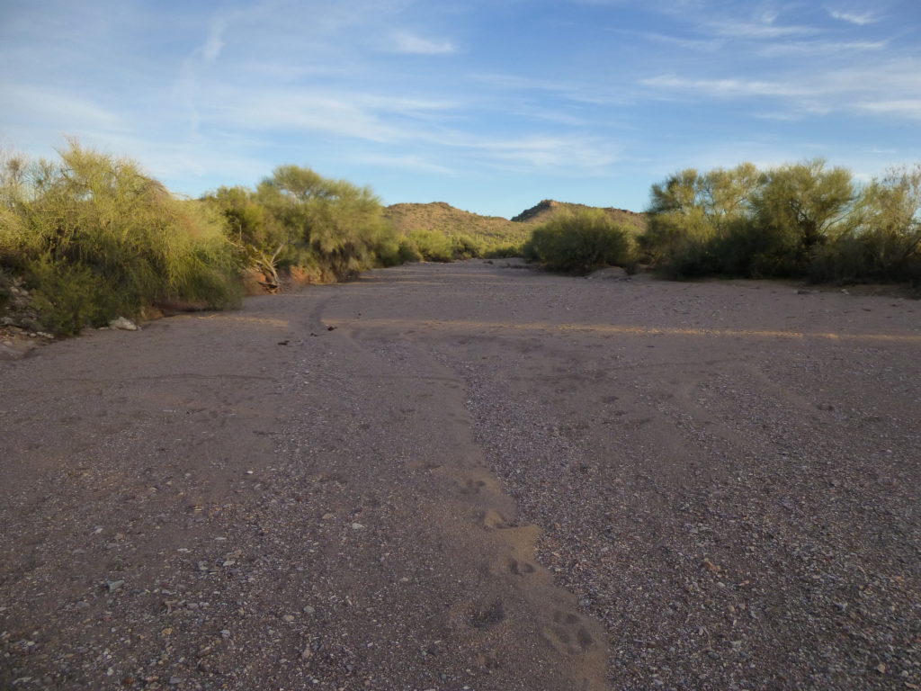 The broad sandy wash