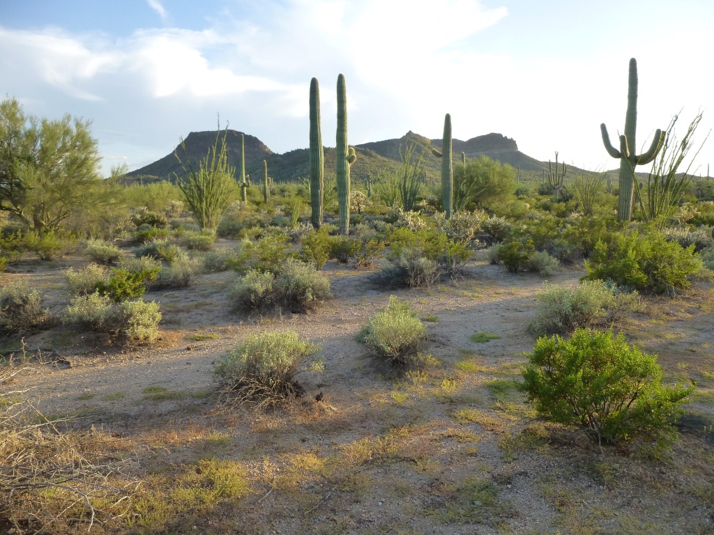 Our campsite