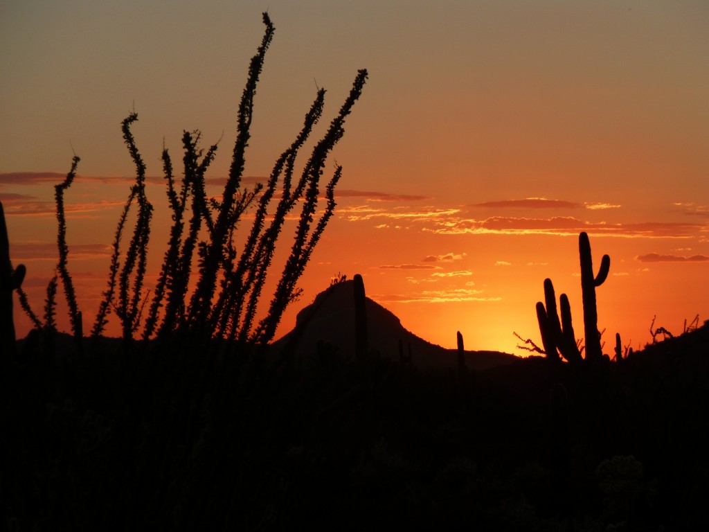 Another Sand Tanks sunset