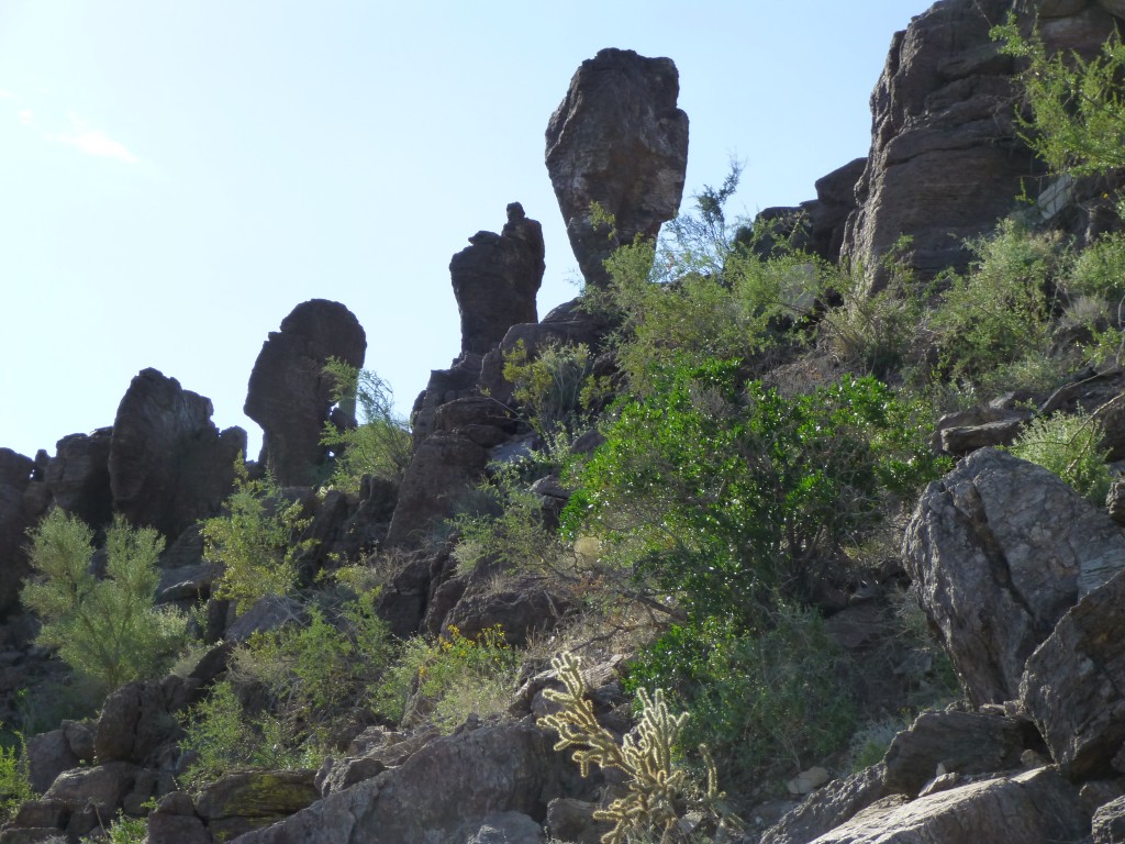 Gigantic chickenheads on the east ridge of 2740