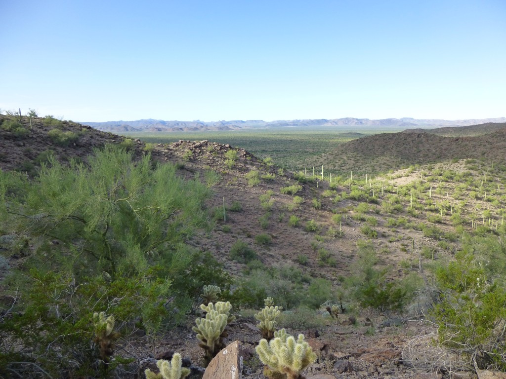 Looking across the bombing range