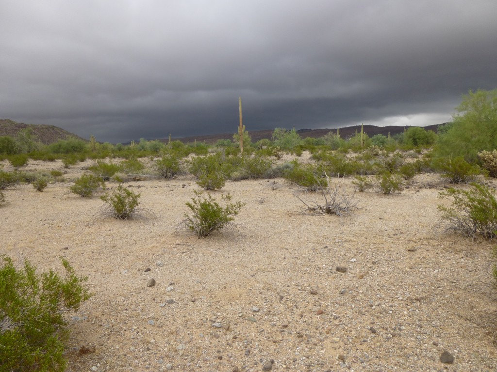 The approaching storm