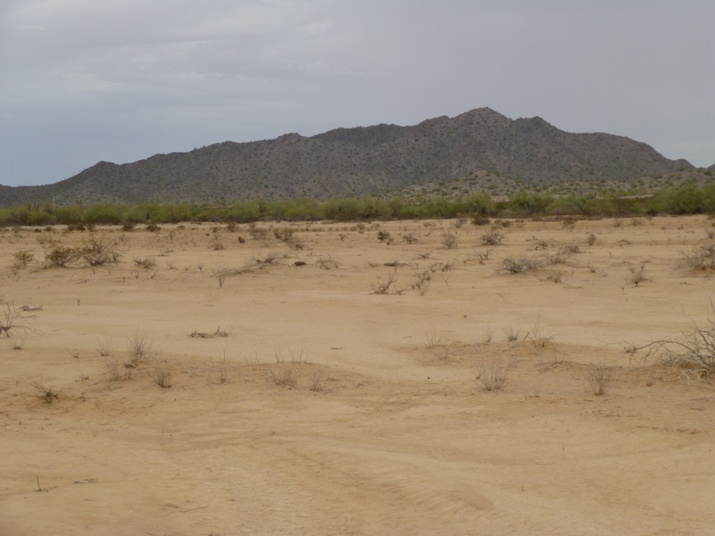 Looking northwest to the highest point of the Antelope Hills