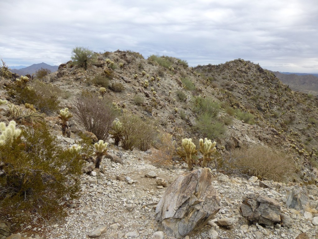 The summit ridge of Peak 1518