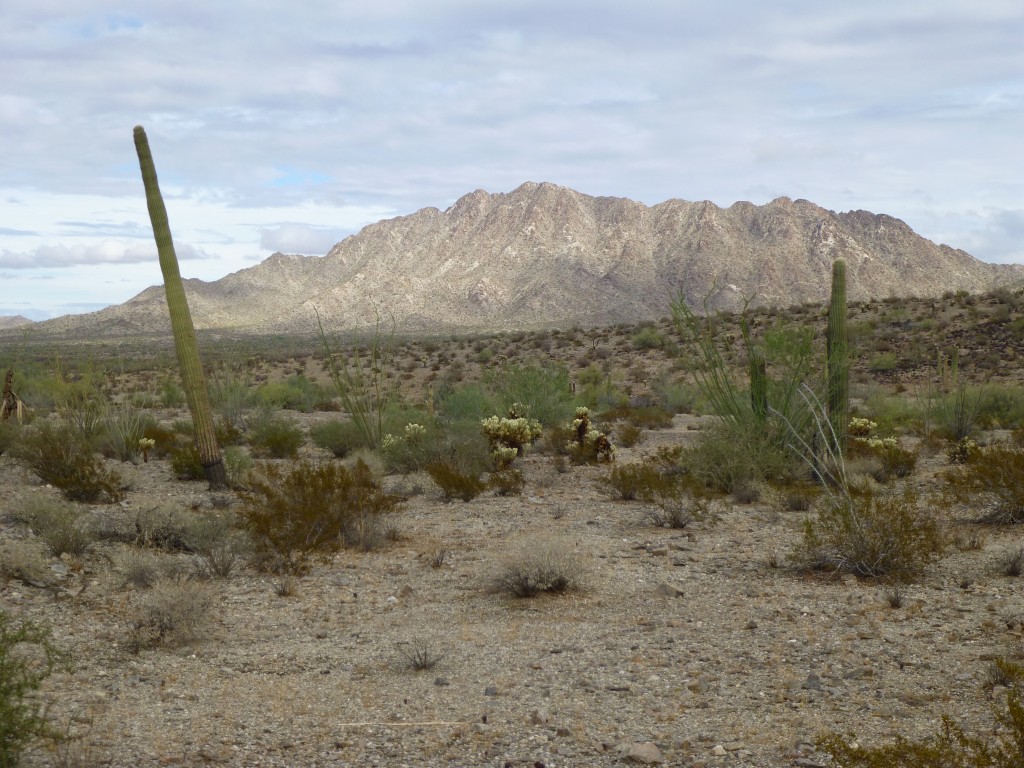 Papago Mountain from the west