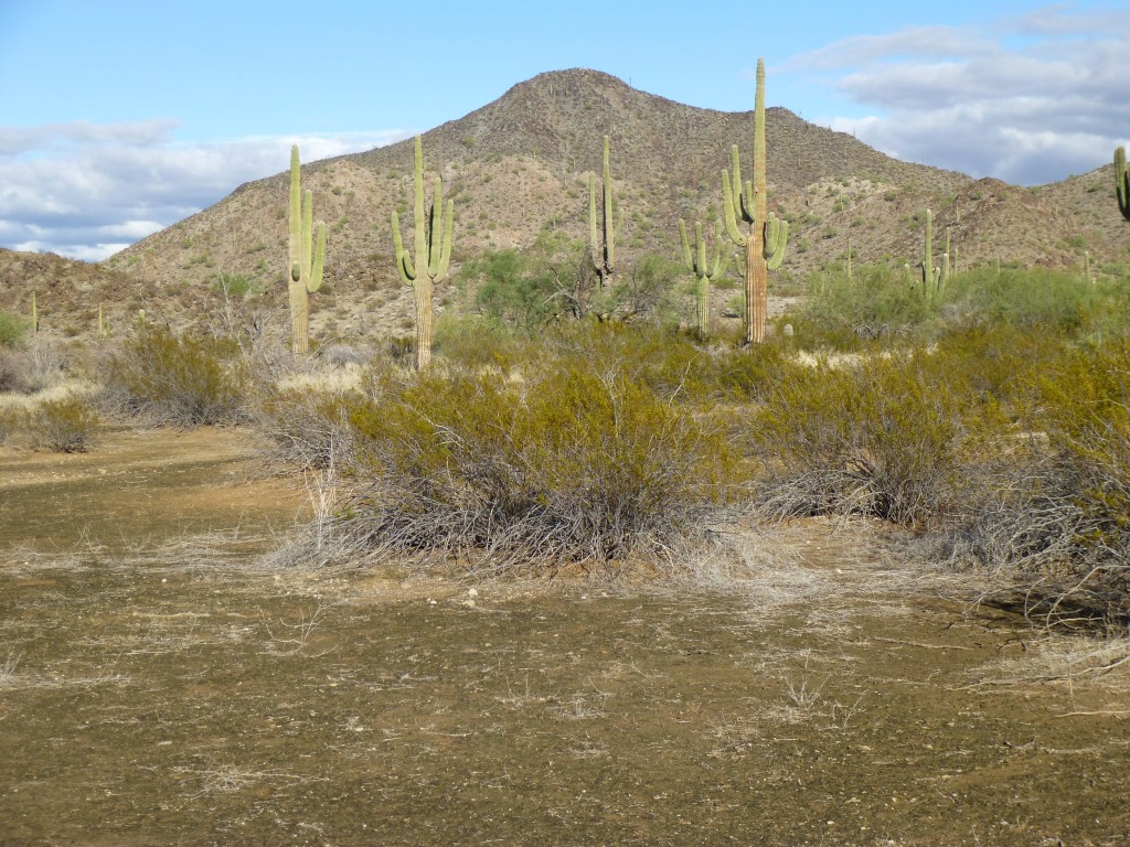 Looking east to Peak 1540