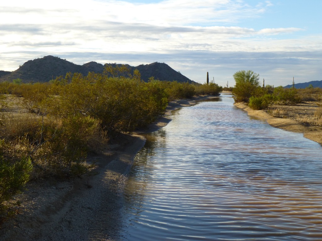 The flooded Camino del Diablo near Chinaman Flat