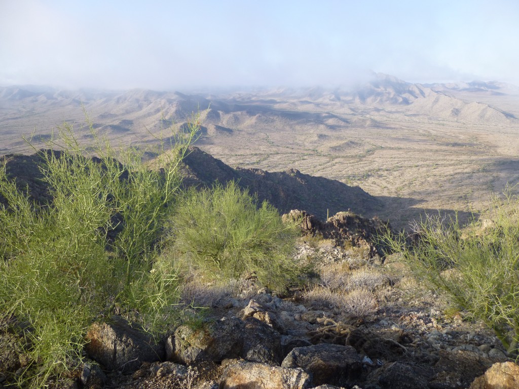 Looking south from the summit of Sheep Mountain