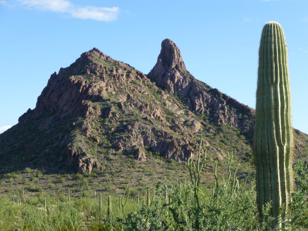 The view of Ajo Peak from our campsite